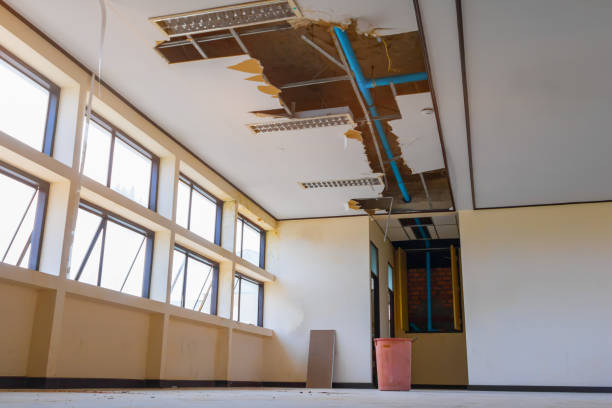 Best Commercial water damage restoration  in Dover, AR