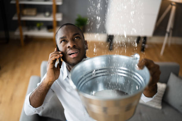 Trusted Dover, AR Water damage restoration Experts