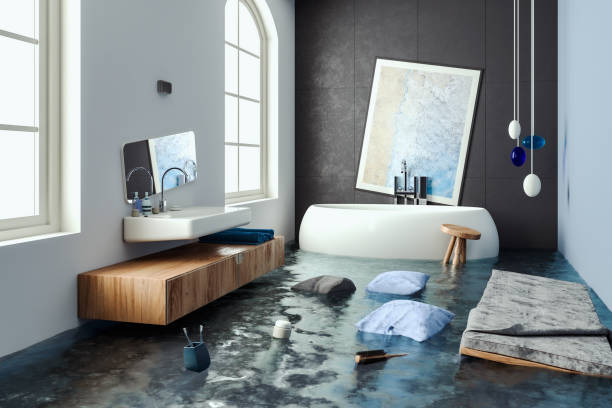 Best Mold removal after water damage  in Dover, AR
