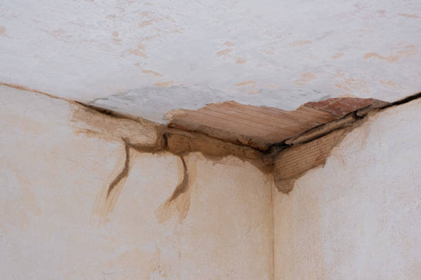Best Water damage contractors near me  in Dover, AR