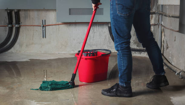 Best Flood restoration services  in Dover, AR