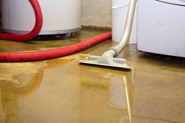 Best Mold removal after water damage  in Dover, AR
