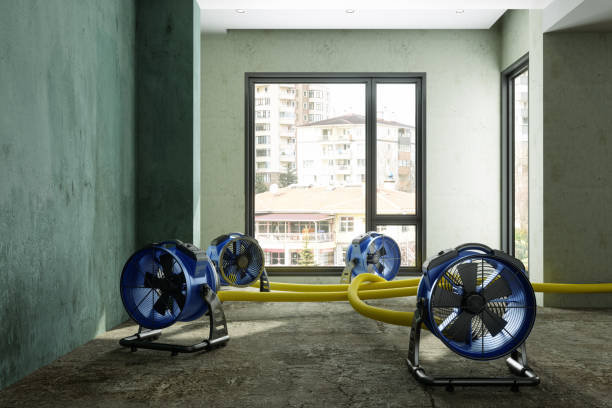 Best Fire Damage Restoration  in Dover, AR