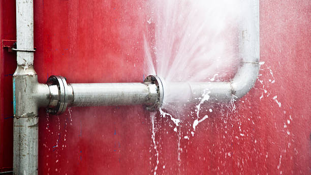 Best Professional water damage repair  in Dover, AR