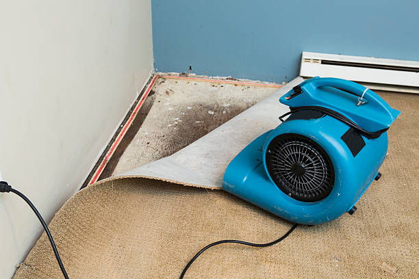 Best Water damage restoration cost  in Dover, AR